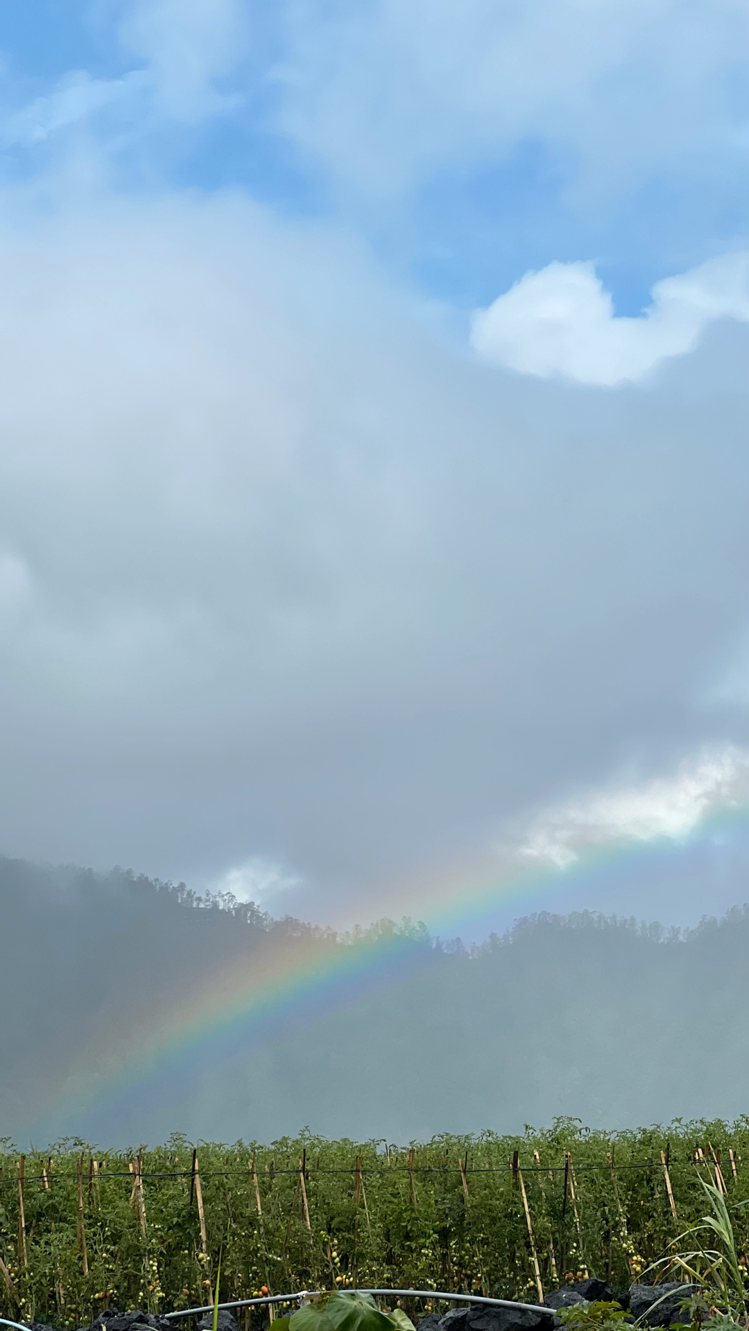 userImage-10