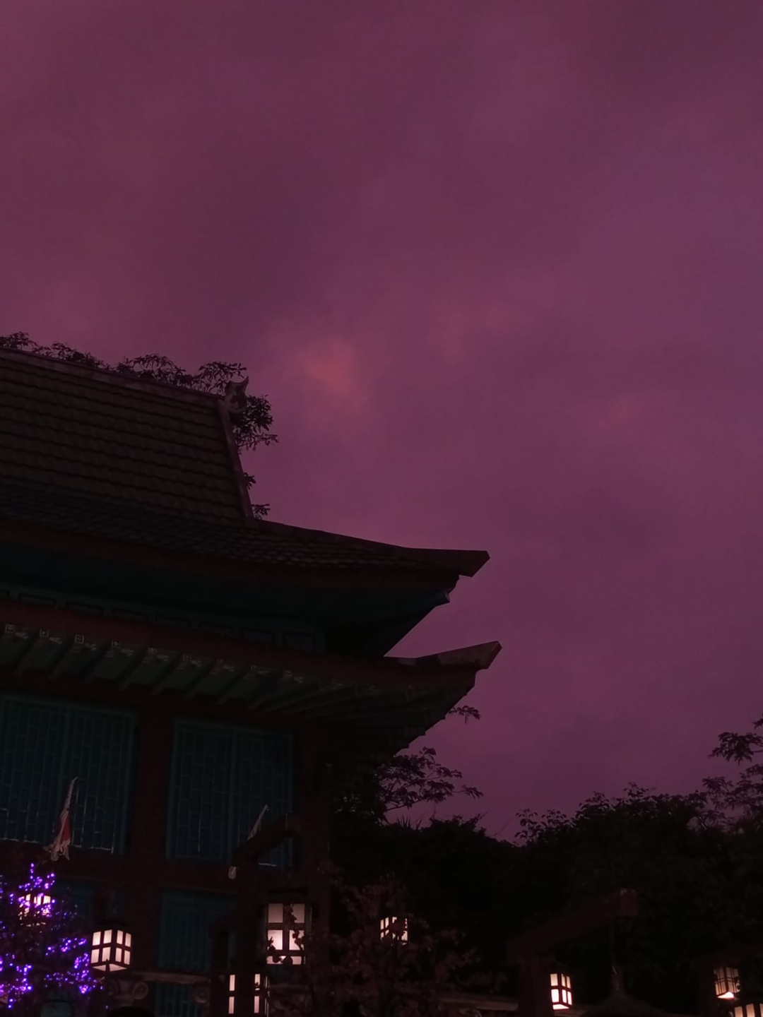 userImage-2