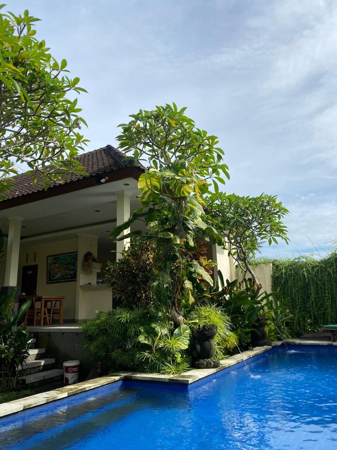 userImage-1