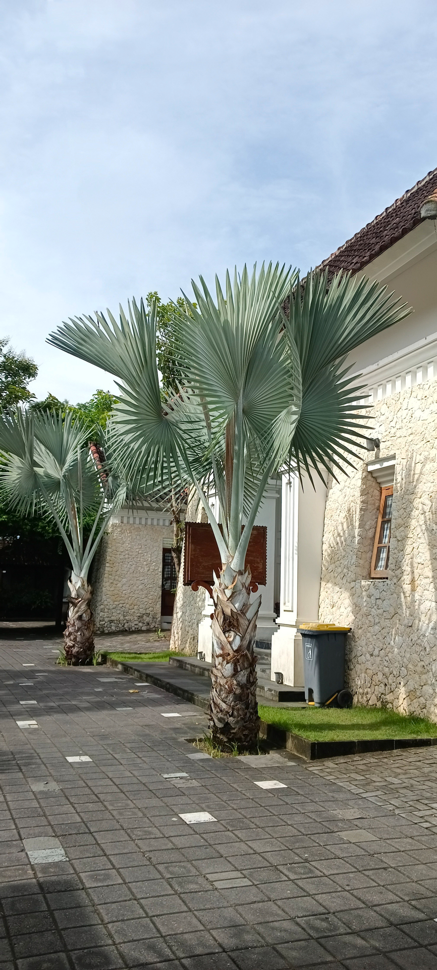 userImage-7
