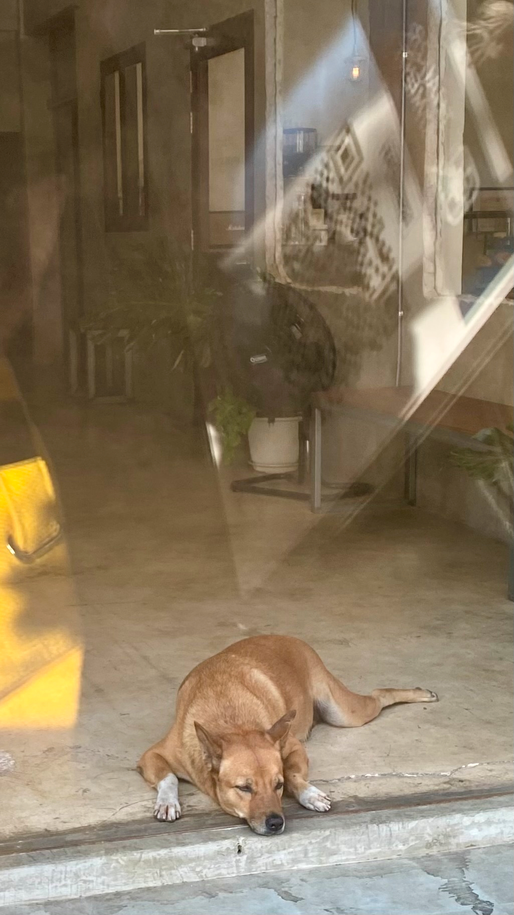 userImage-3