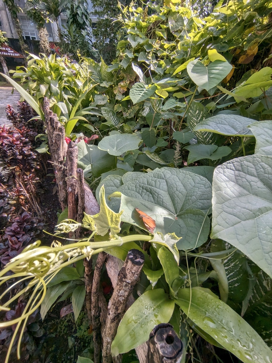 userImage-2