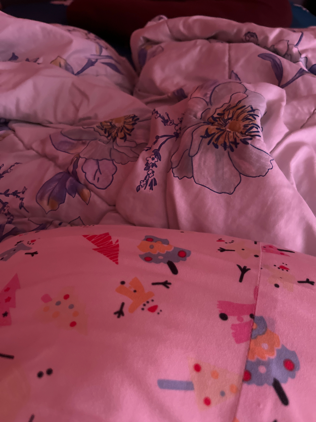 userImage-8