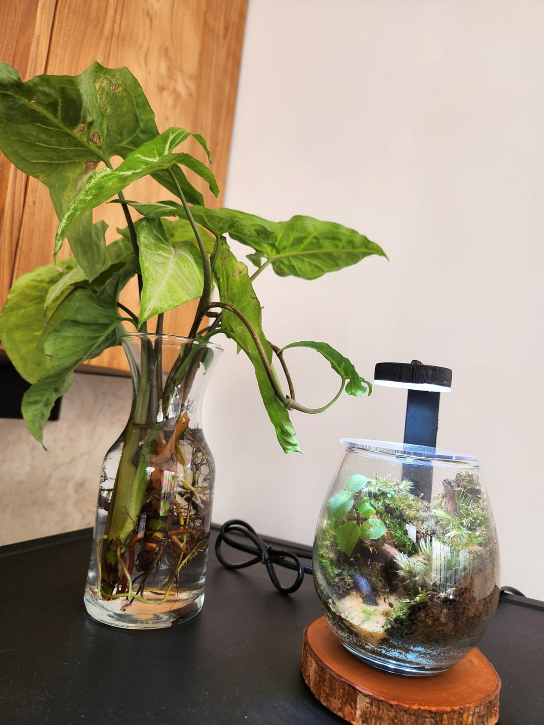 userImage-2