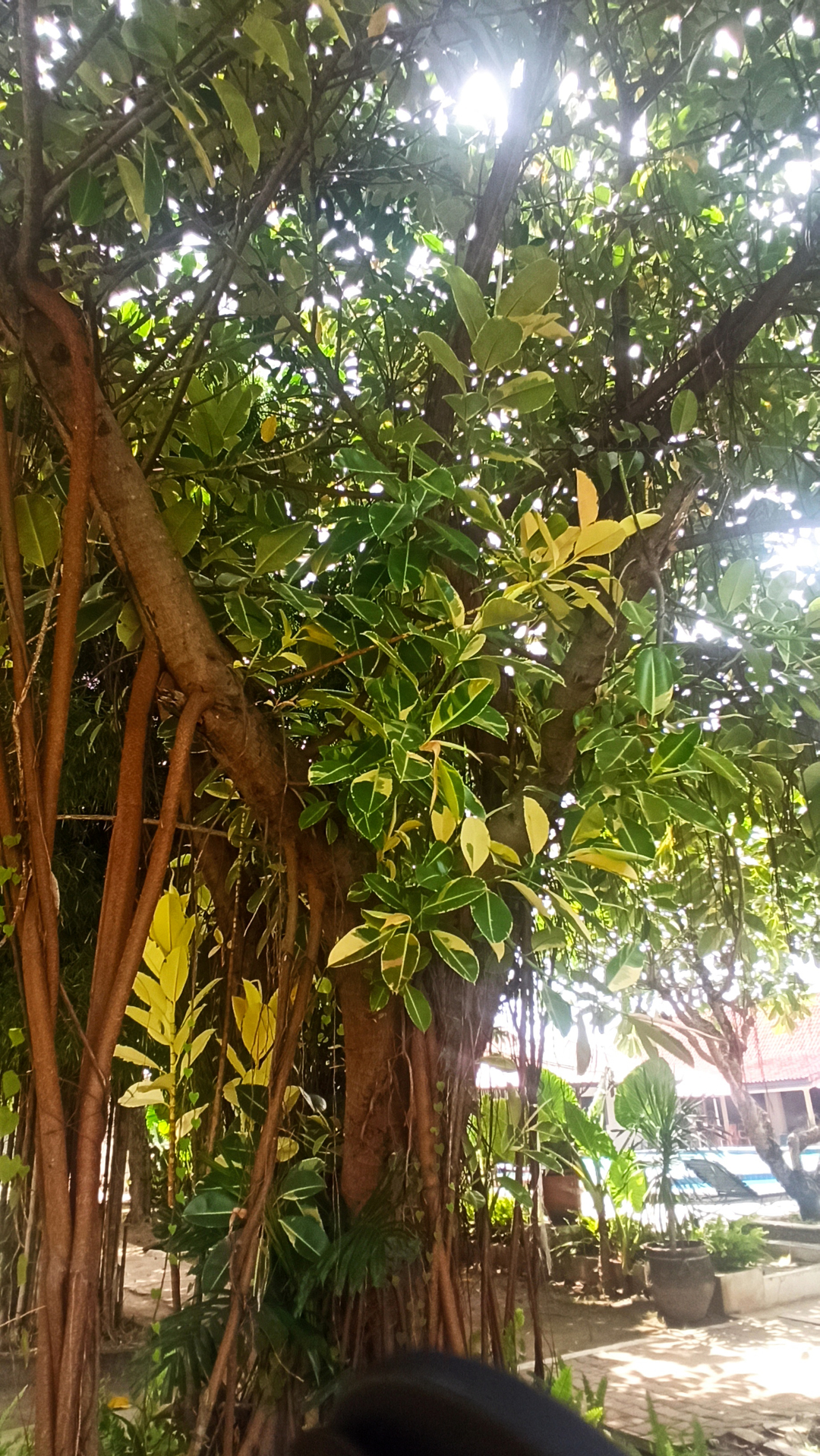 userImage-5