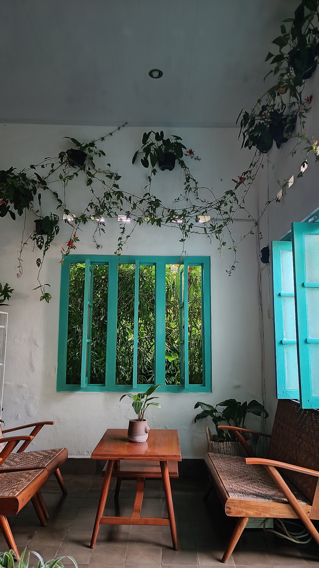 userImage-12