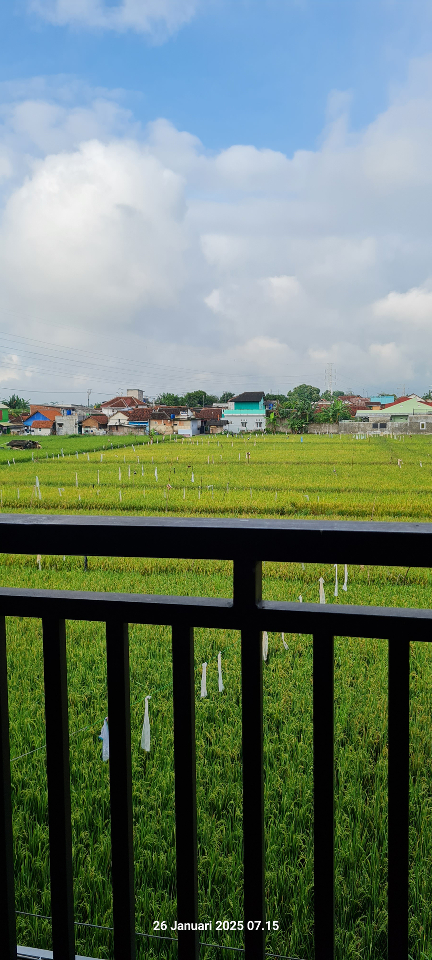userImage-2