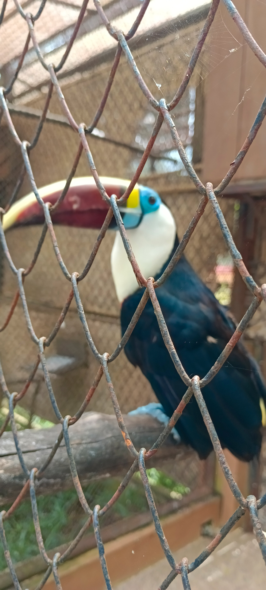 userImage-4