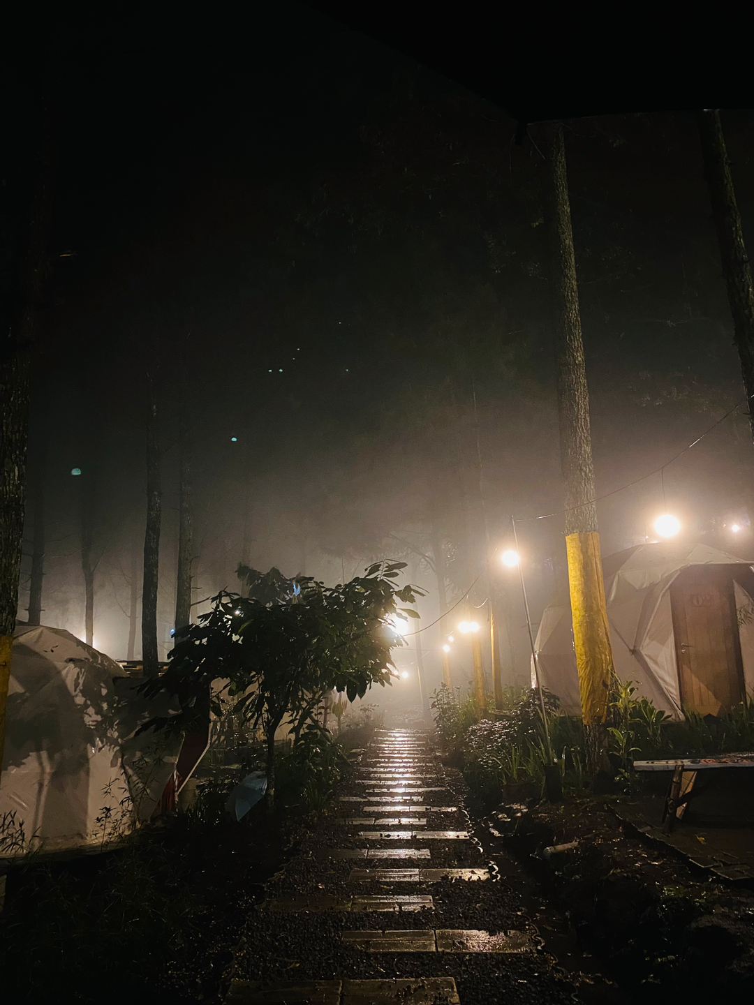 userImage-10