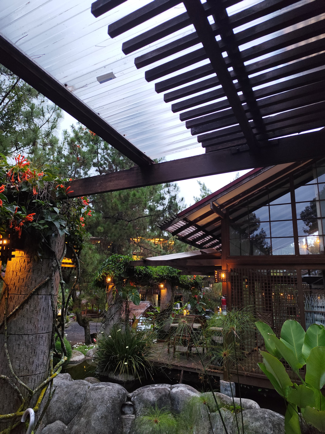 userImage-3