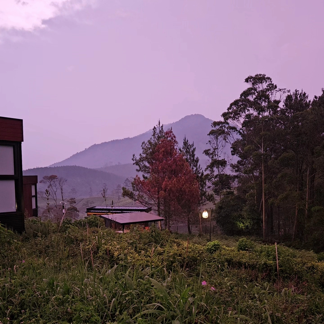 userImage-13