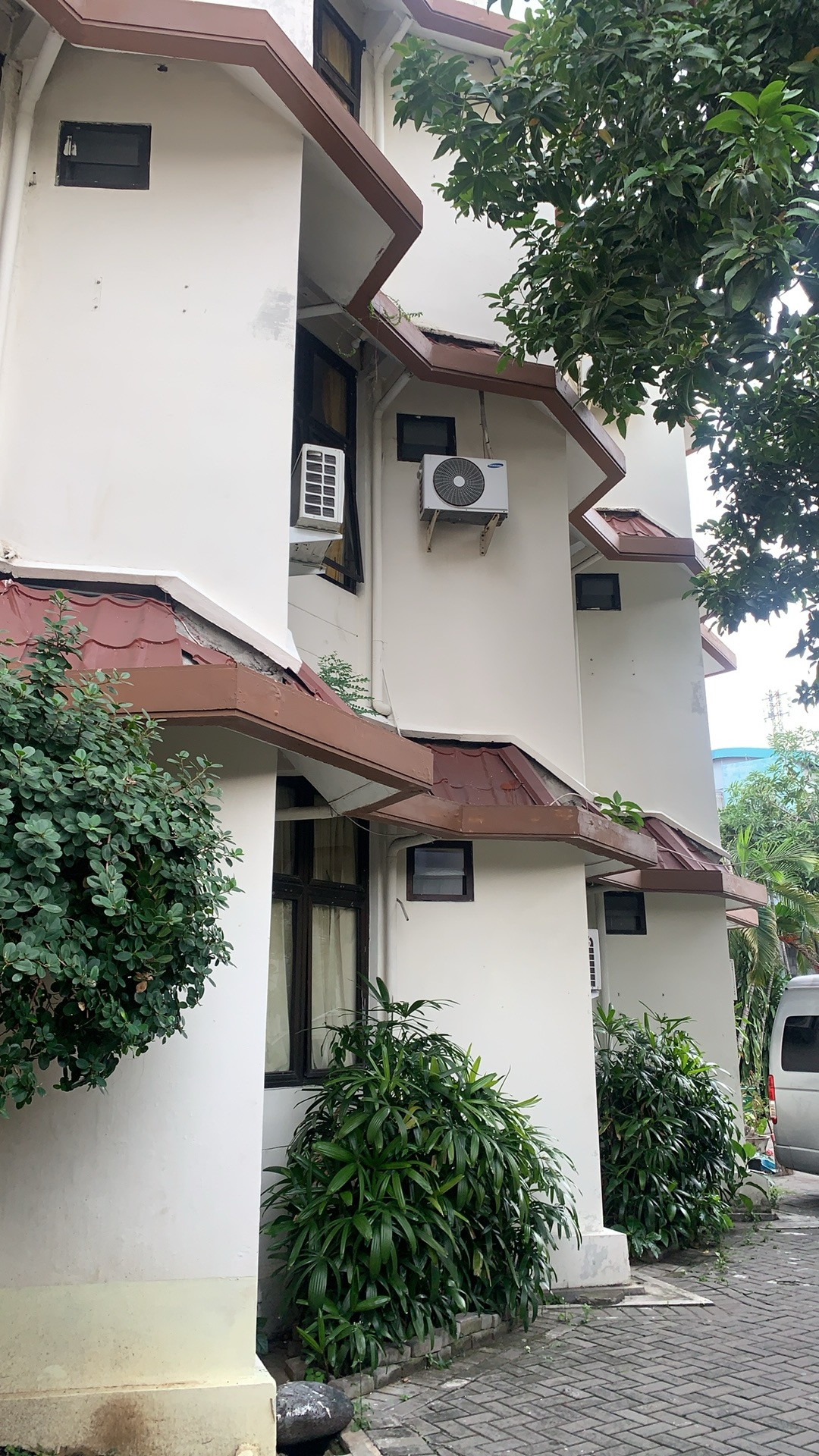 userImage-1