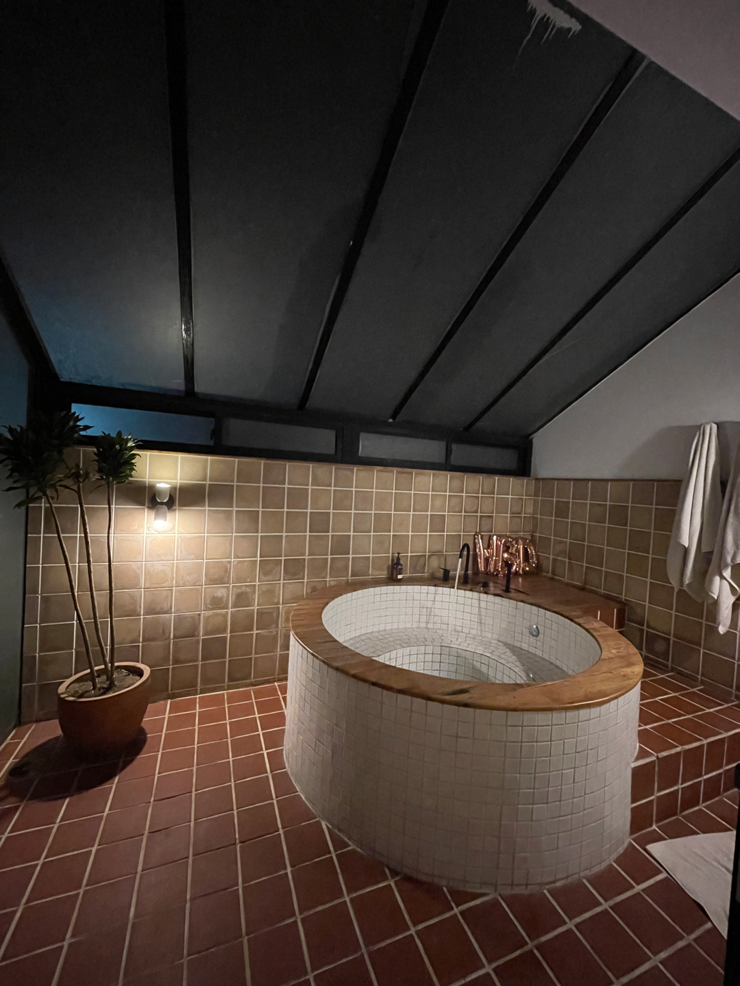 userImage-12
