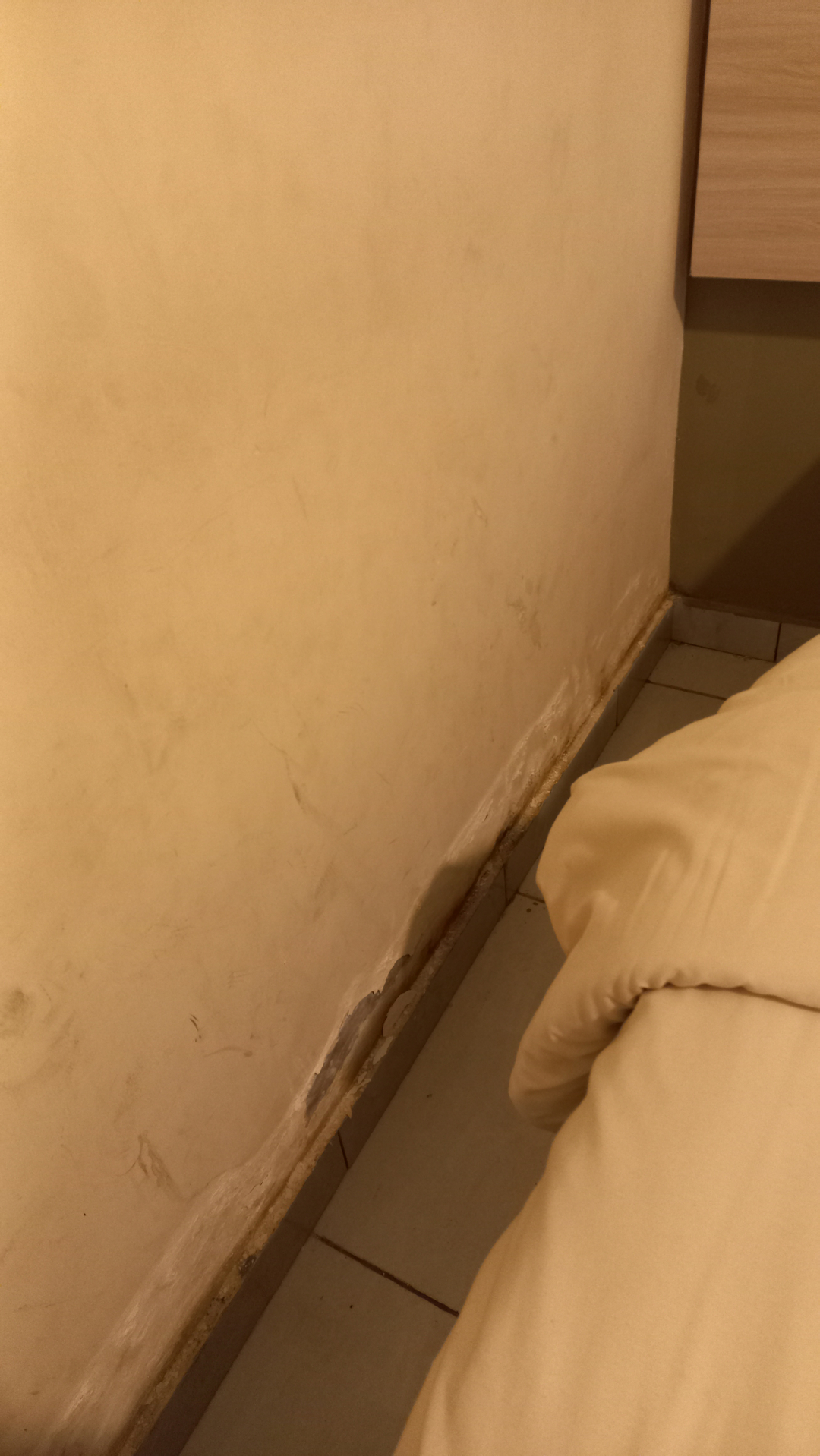 userImage-12