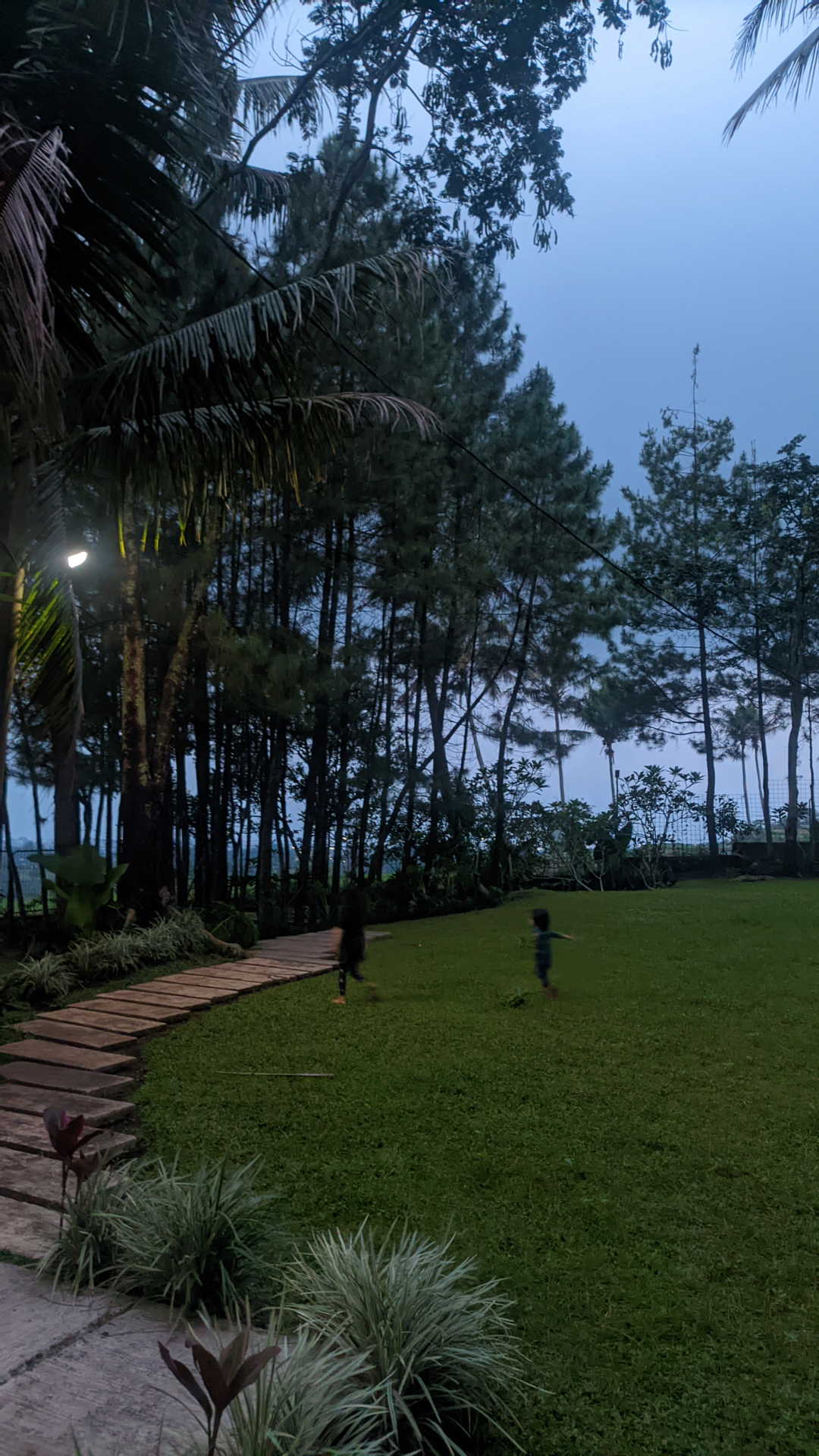 userImage-2