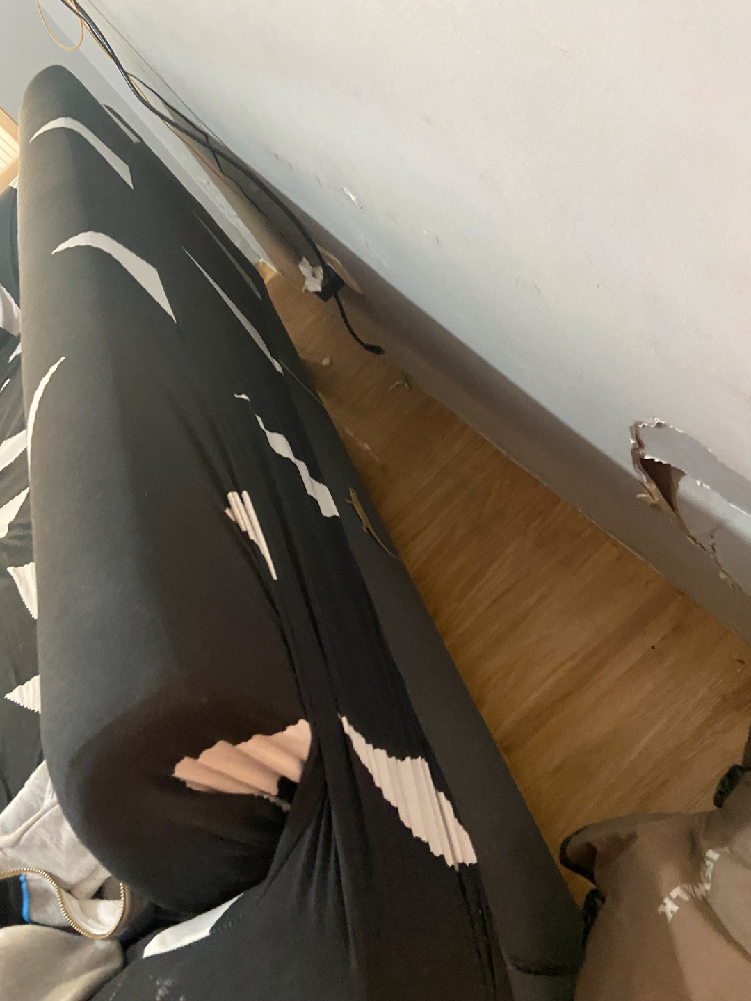 userImage-2