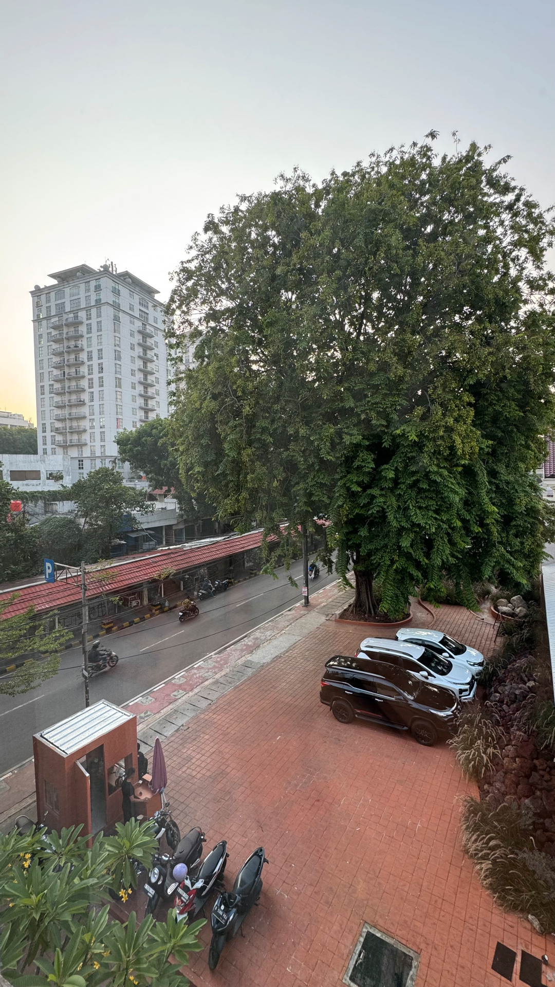 userImage-1