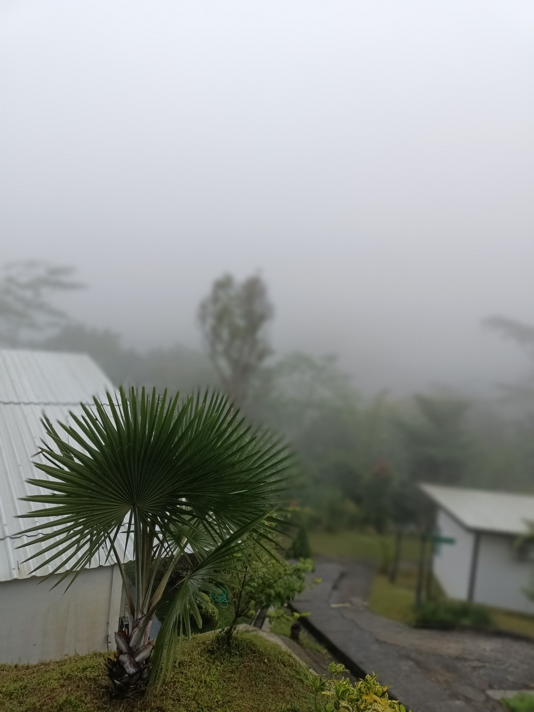 userImage-5