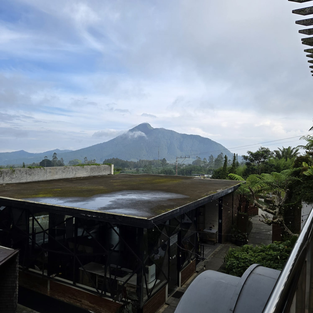 userImage-10