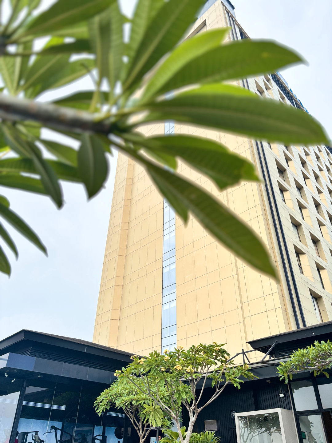 userImage-12