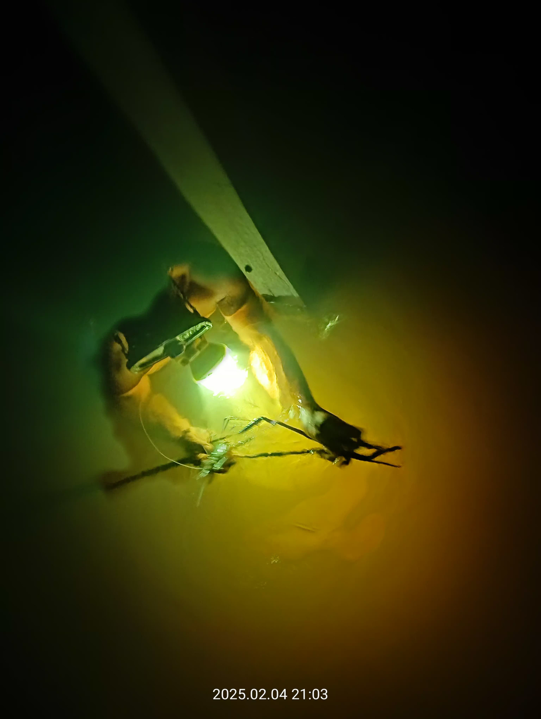 userImage-2