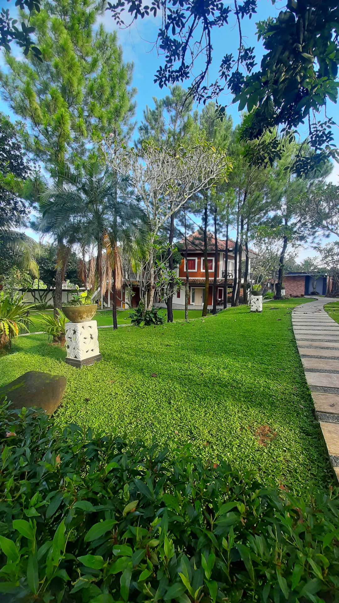 userImage-5