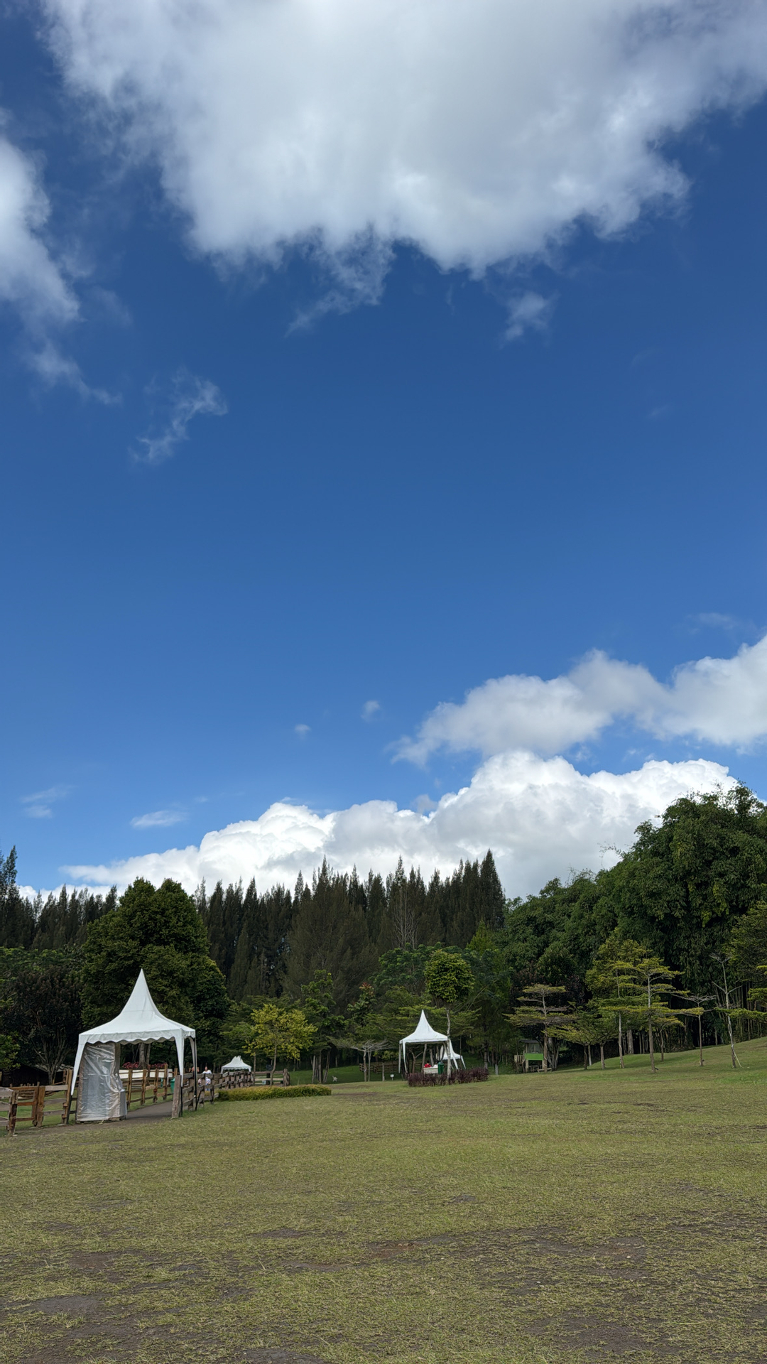 userImage-19