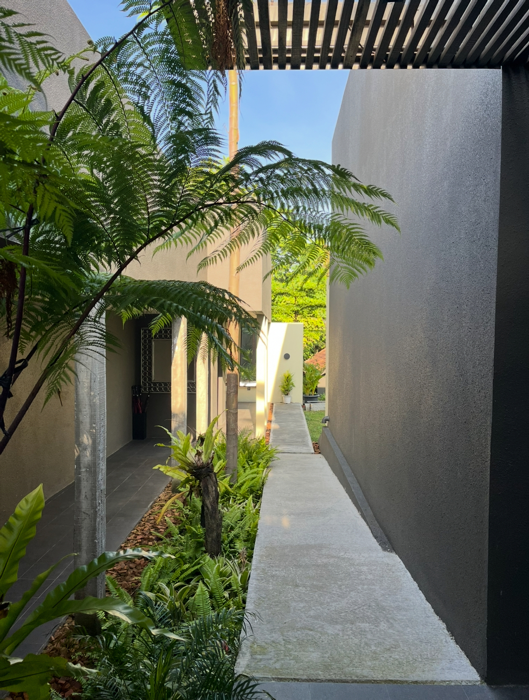 userImage-1