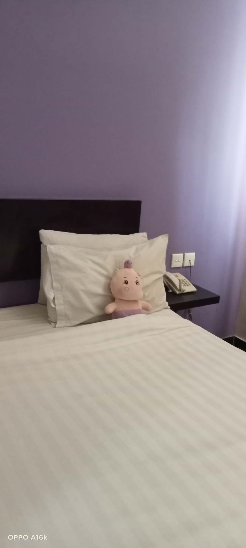 userImage-6