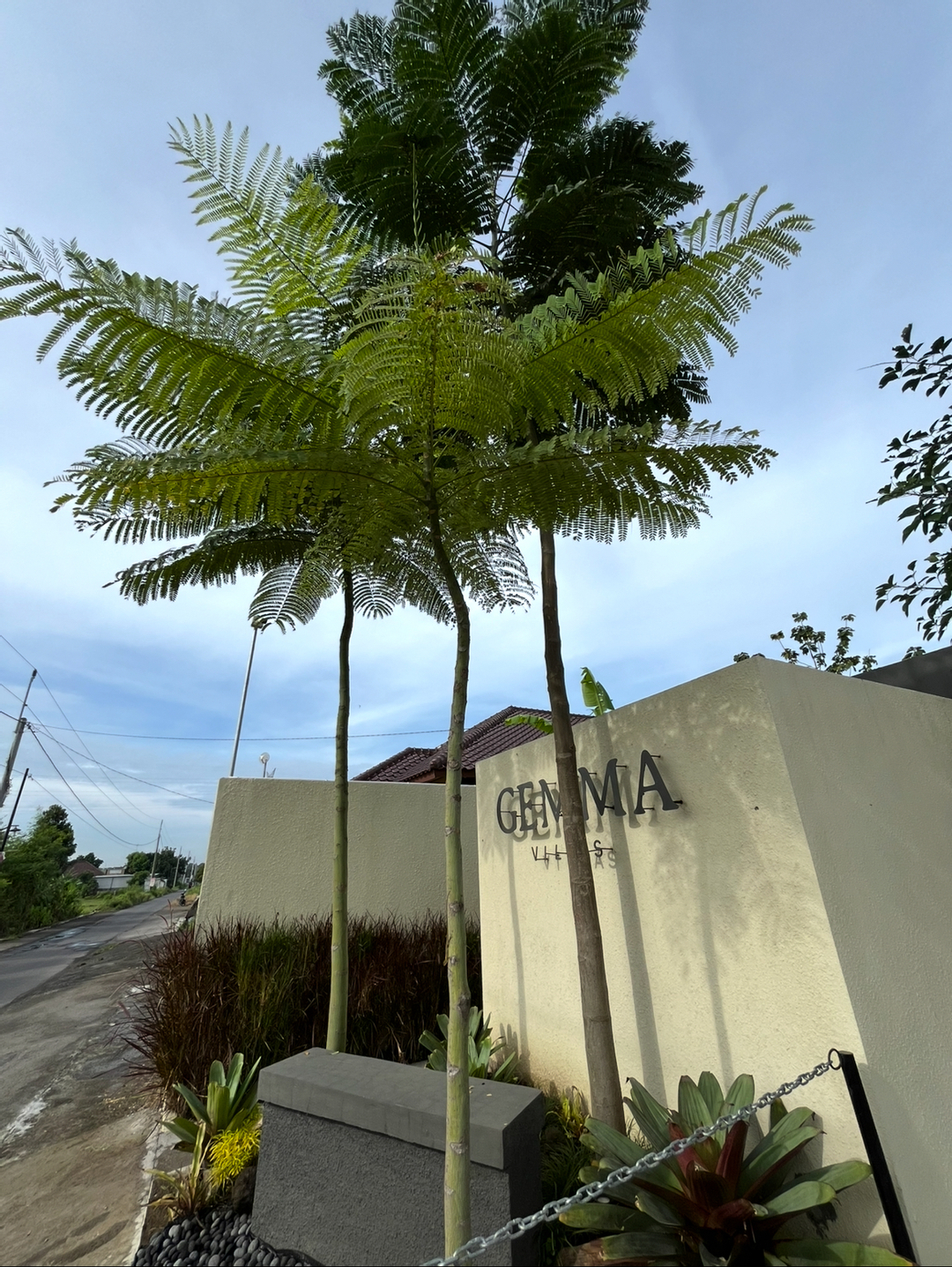 userImage-0