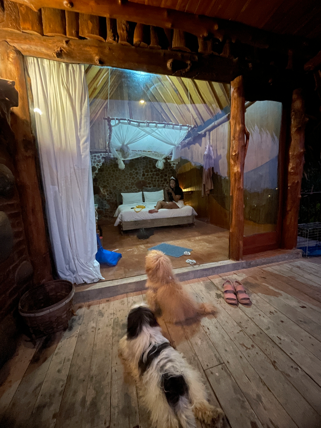 userImage-9