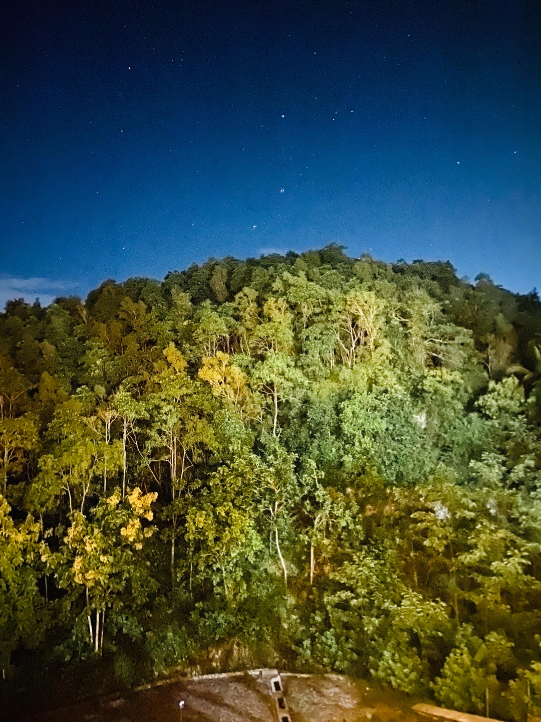 userImage-4