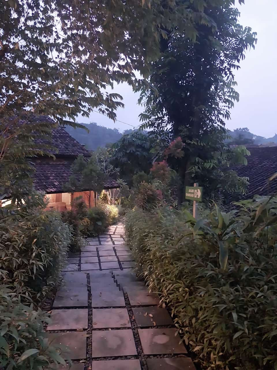 userImage-8