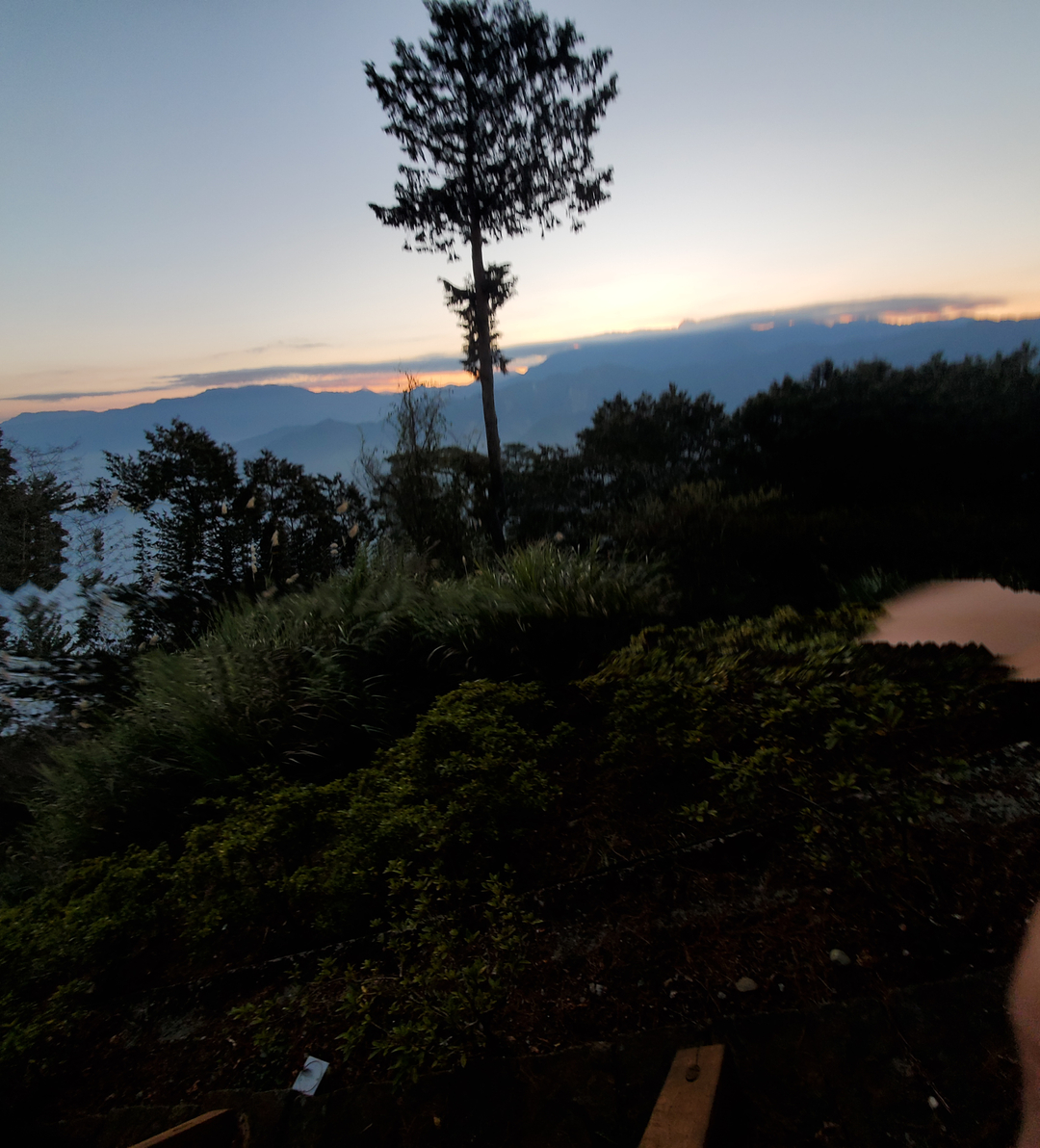 userImage-9