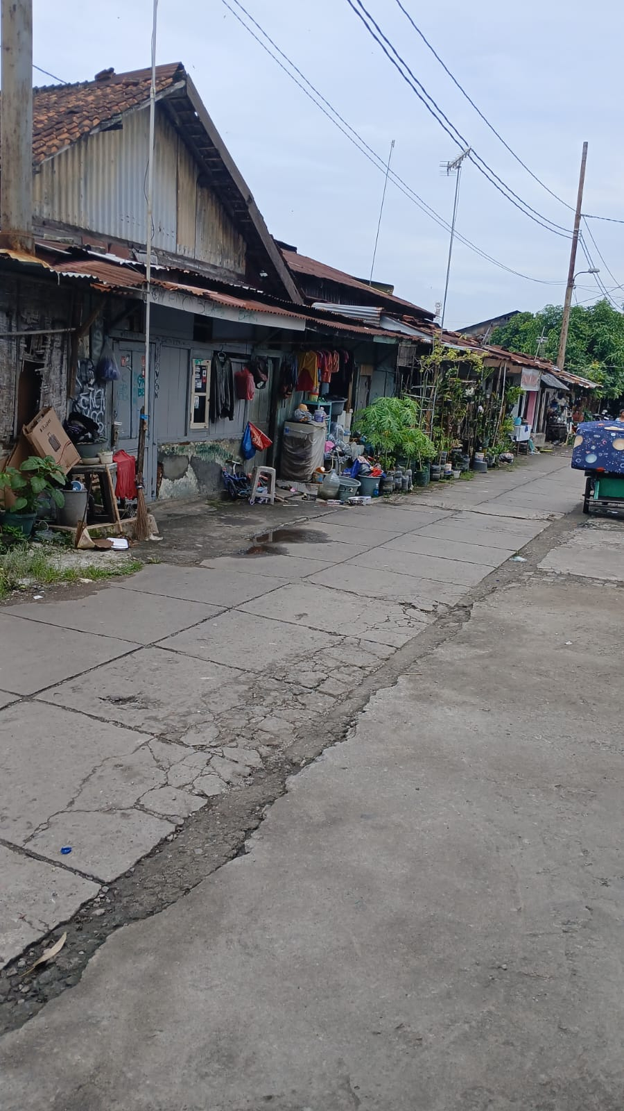 userImage-6
