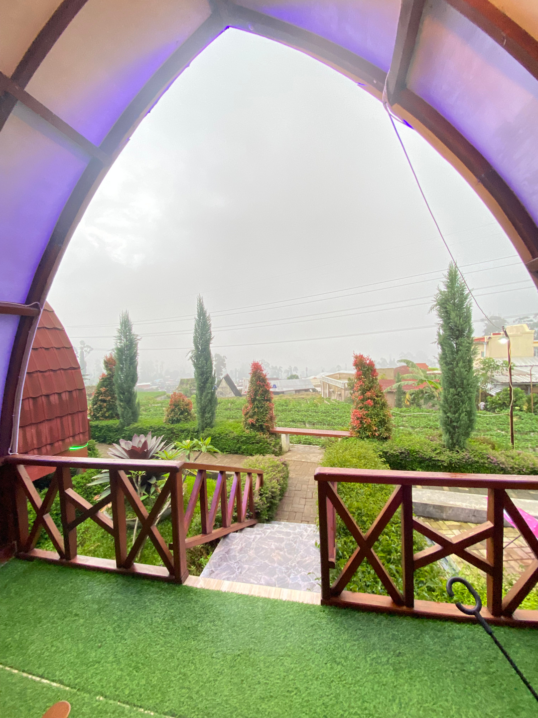 userImage-4