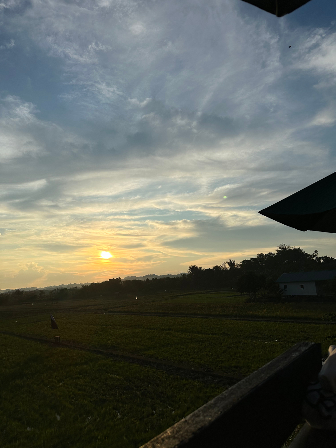userImage-4