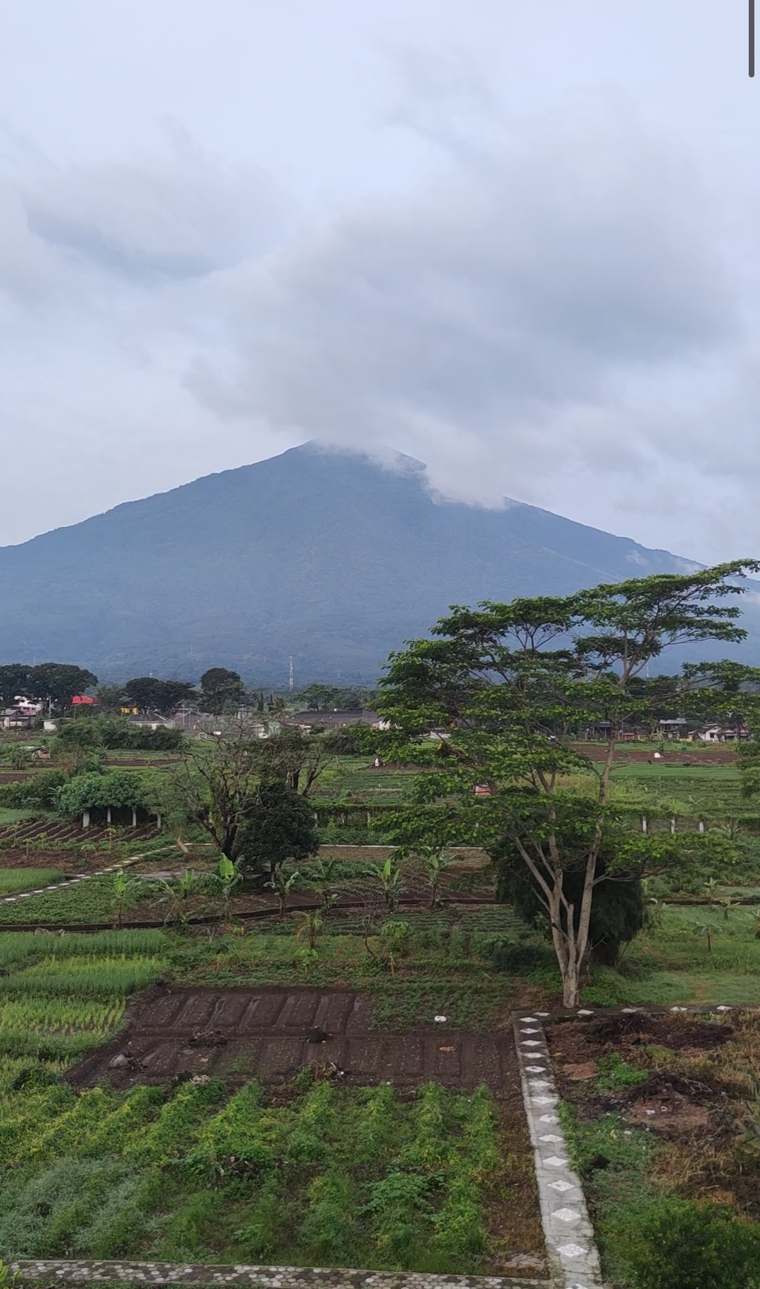 userImage-1