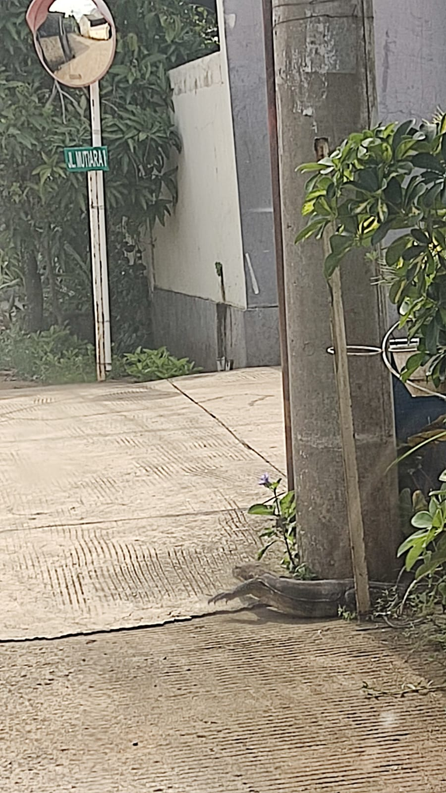 userImage-16