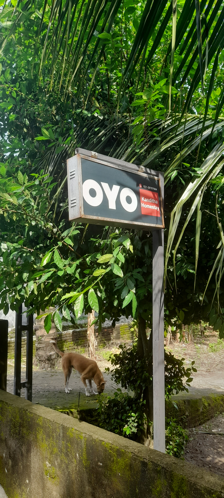 userImage-2