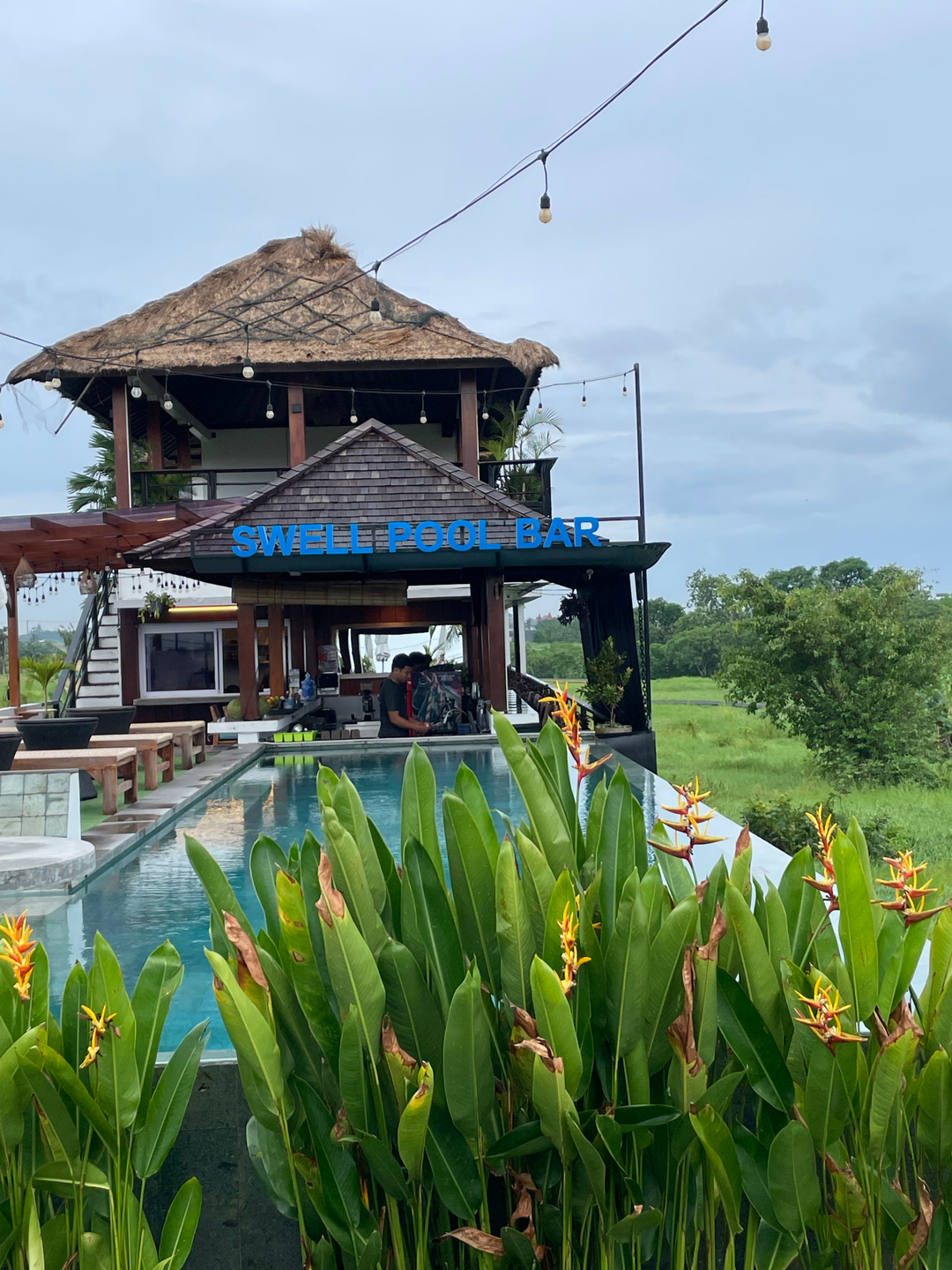 userImage-10