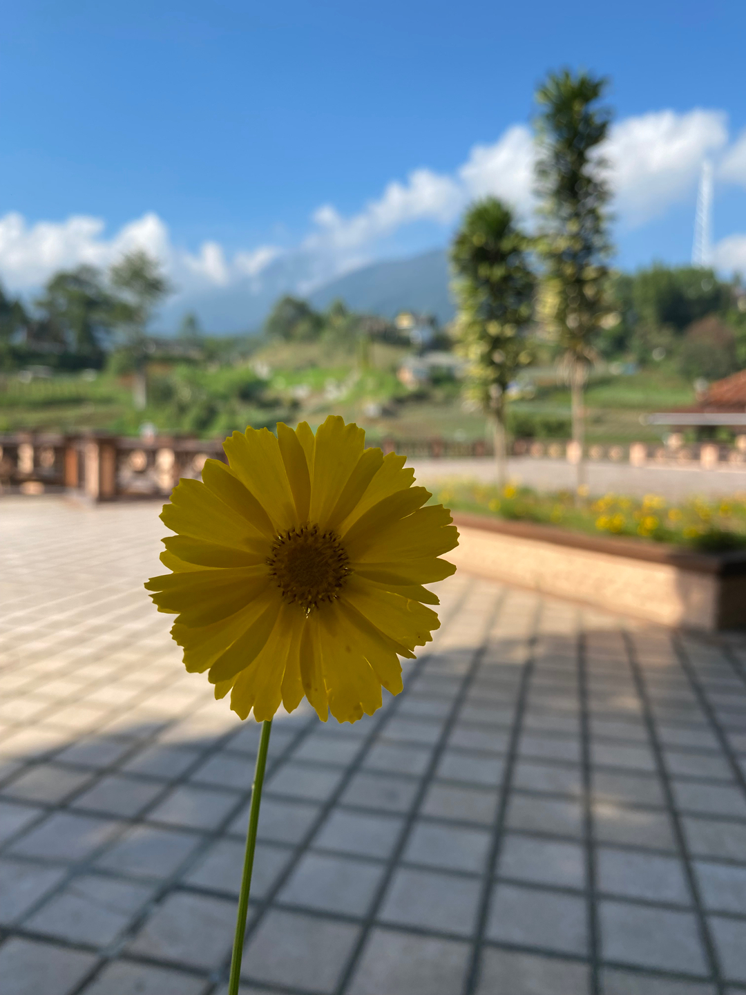 userImage-3