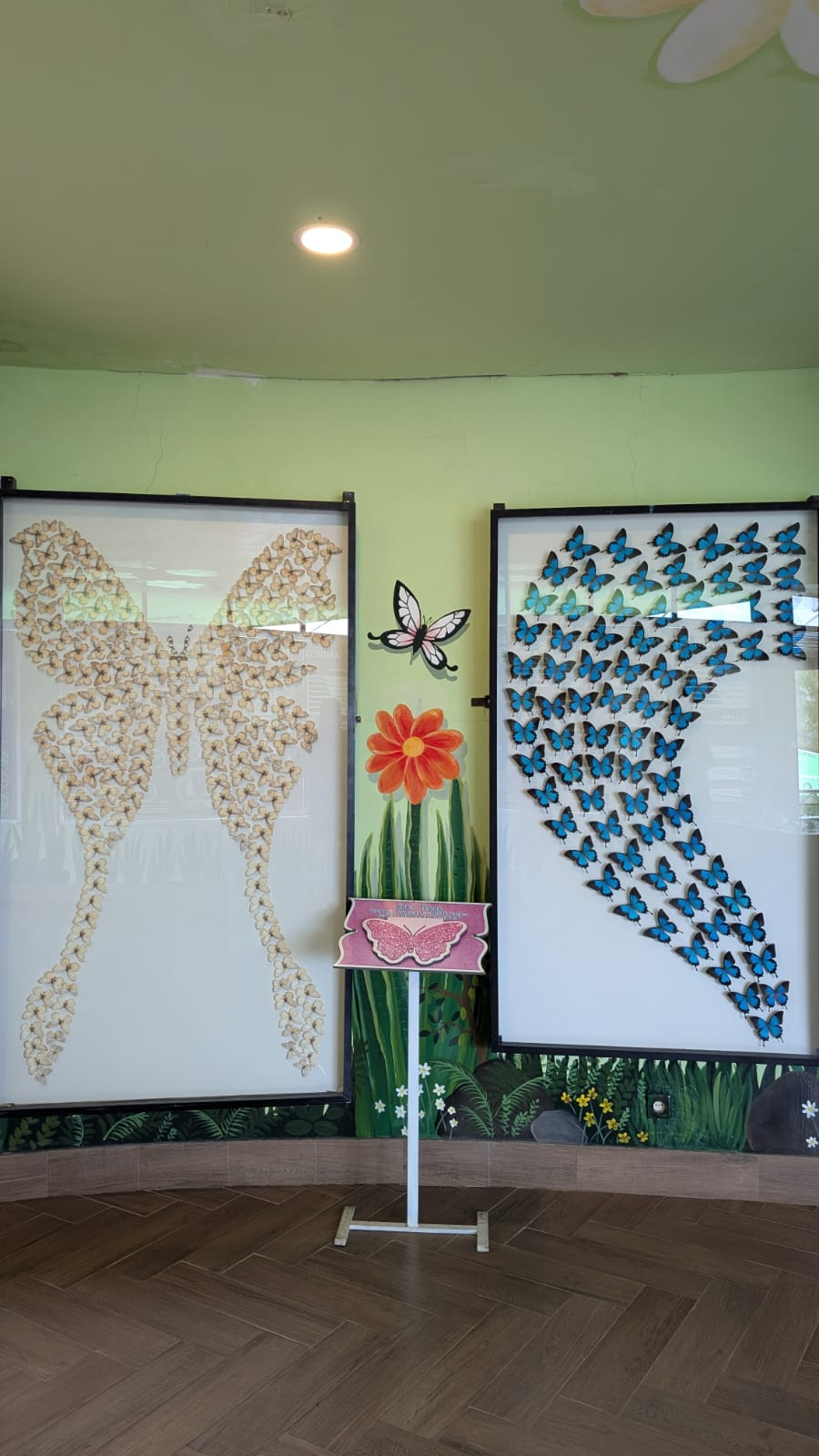userImage-4