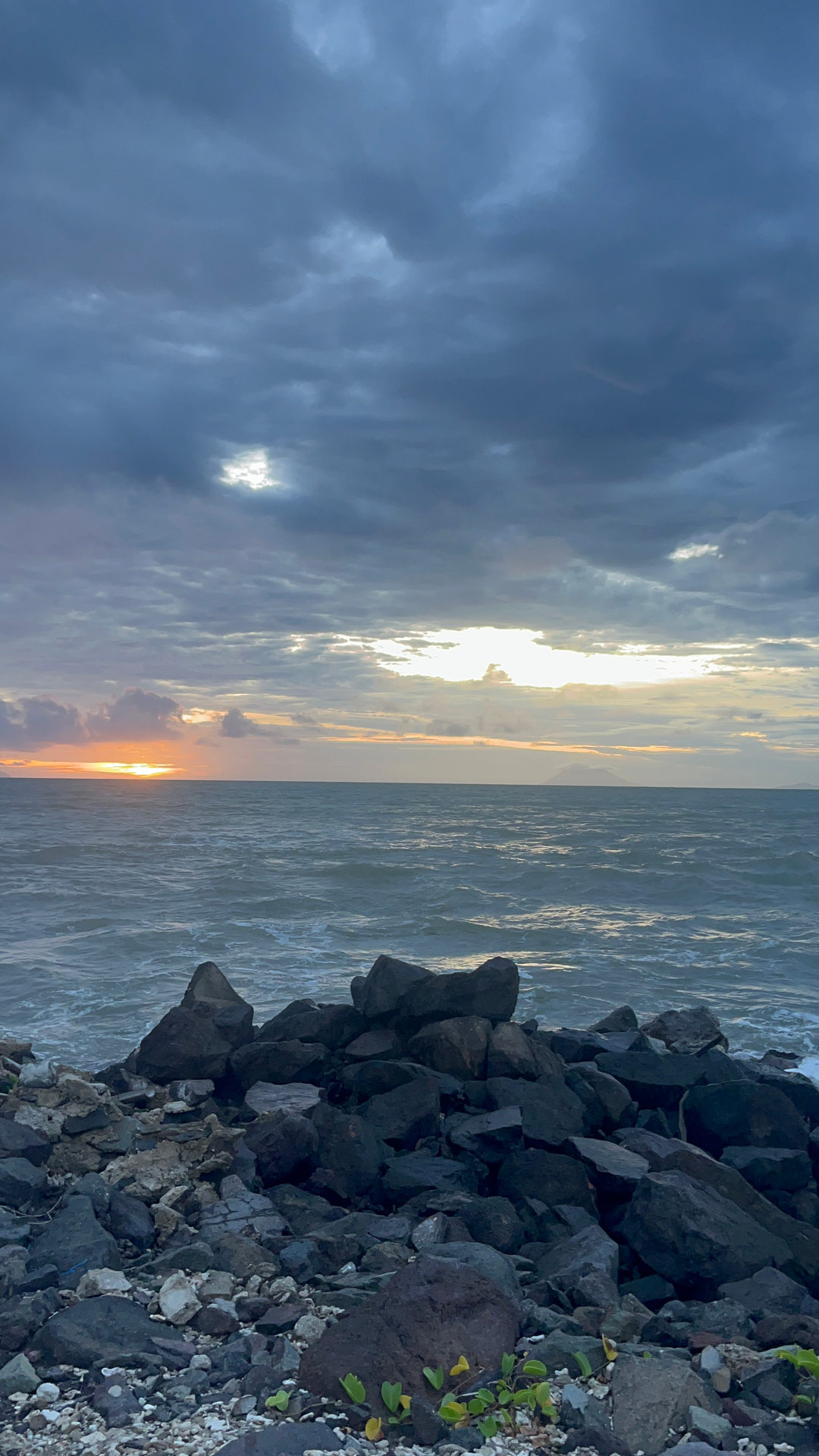 userImage-1