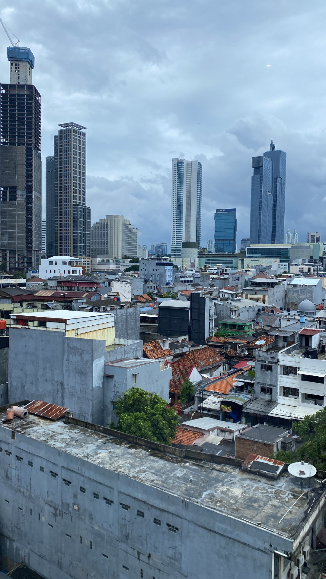 userImage-14