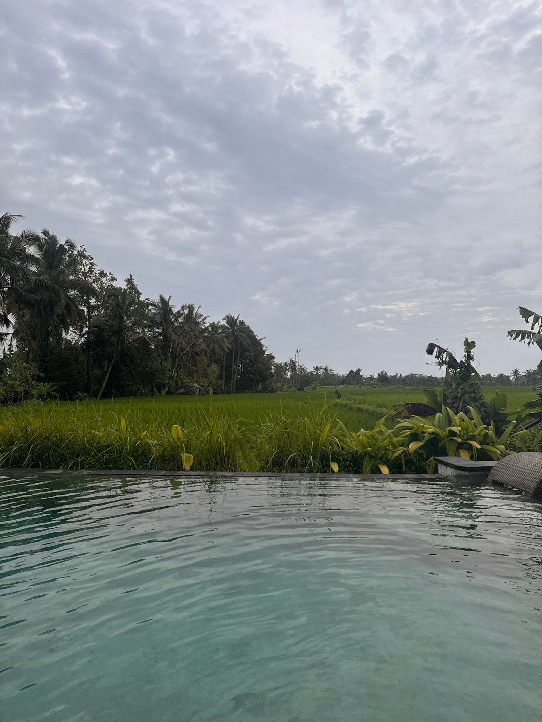 userImage-1