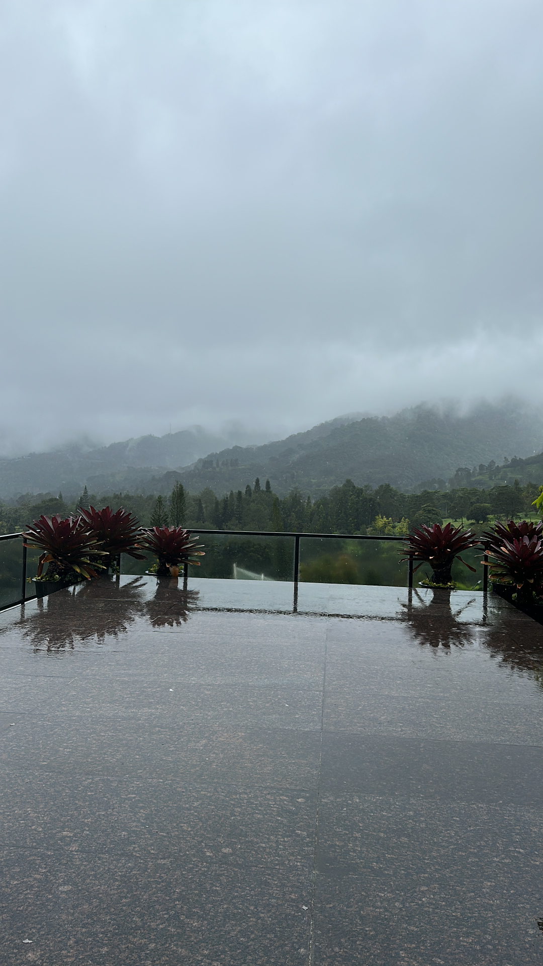 userImage-1