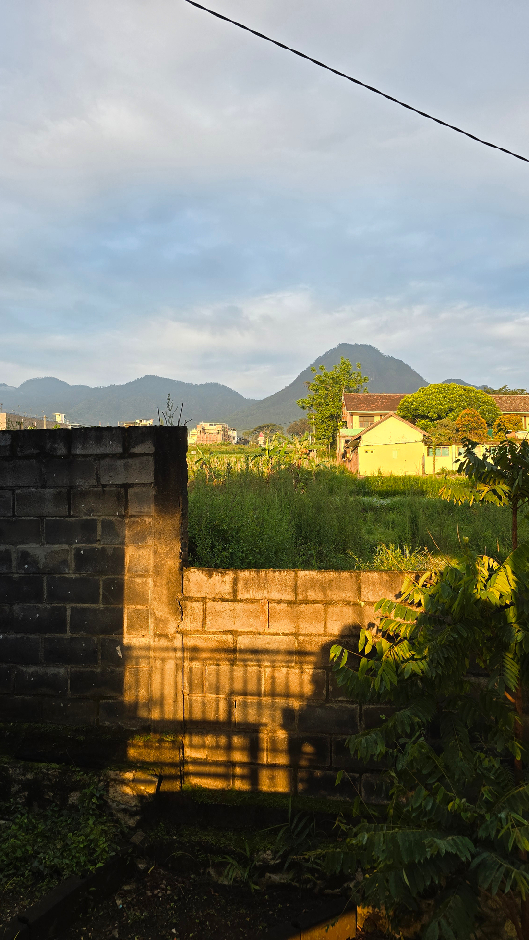 userImage-1