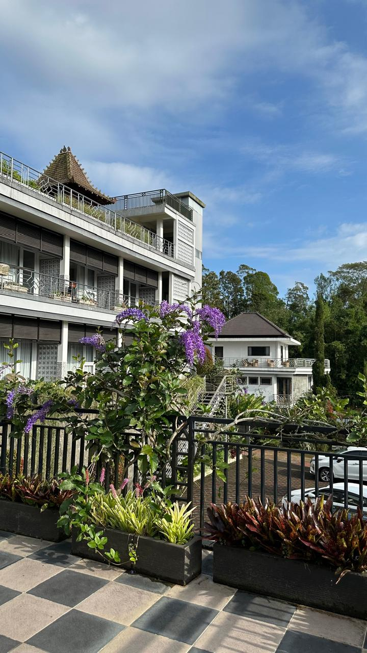 userImage-9