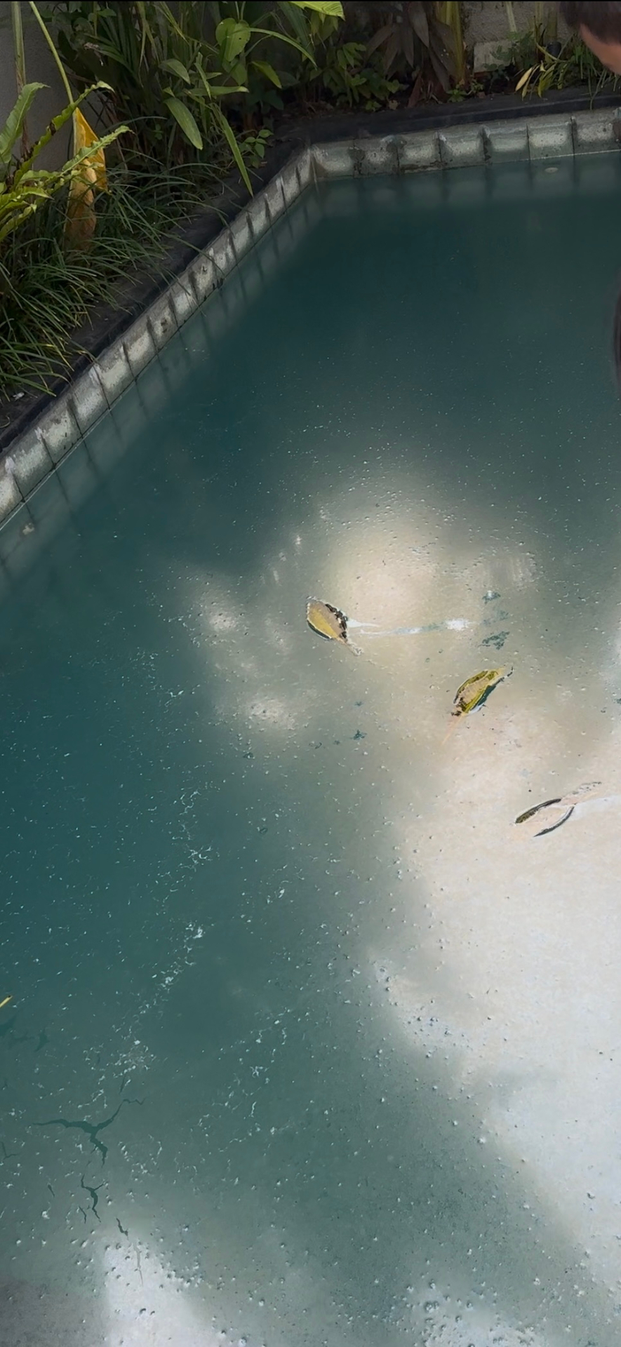 userImage-18